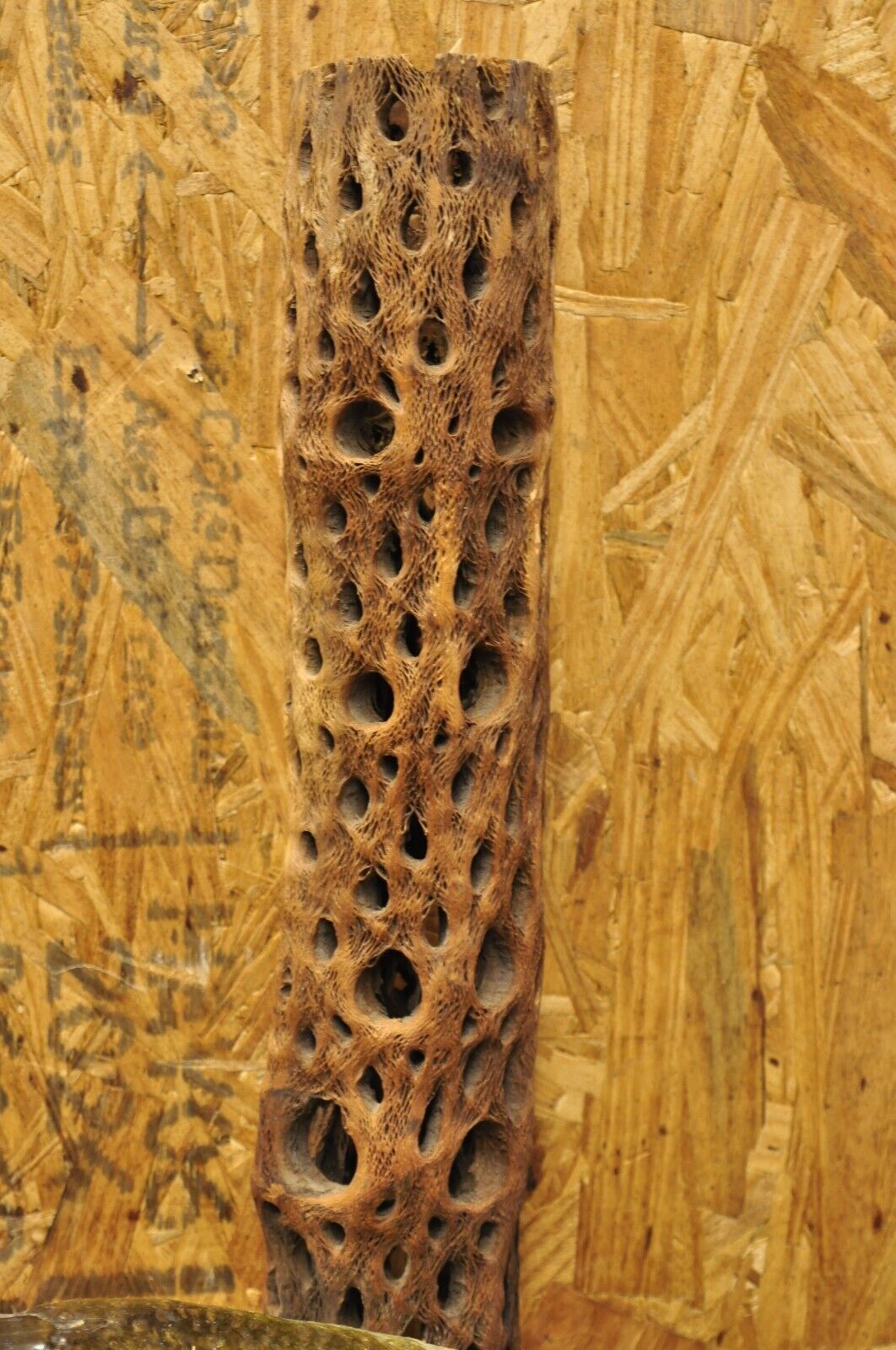 Vintage Largemouth Bass Log Wall Mount Real Skin Taxidermy Fishing Wall Decor