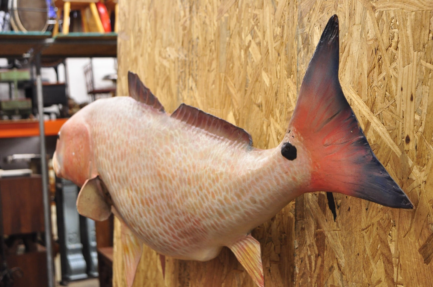 Vintage 49" Large Red Drum Full Wall Mount Taxidermy Redfish Fish Replica