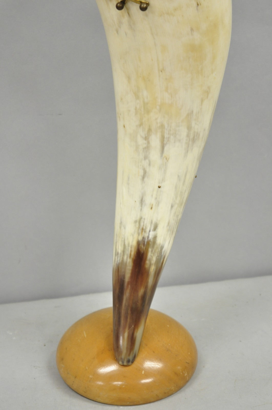 Vintage Italian Regency Large Cattle Cow Horn Vase on Sculpted Maple Wood Base