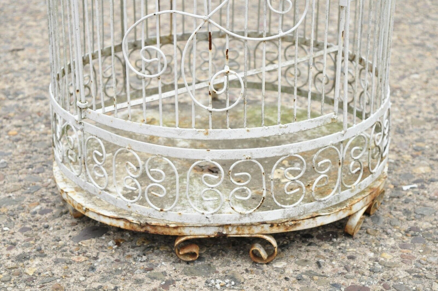 Vintage Wrought Iron Victorian Style Scrolling Wire Metal 58" Garden Birdcage