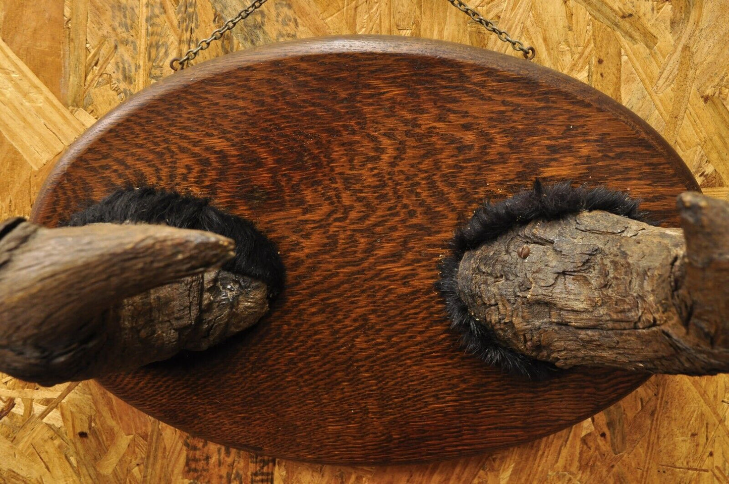 Vintage Buffalo Horns on Oak Wood Wall Plaque Taxidermy Cabin Decor