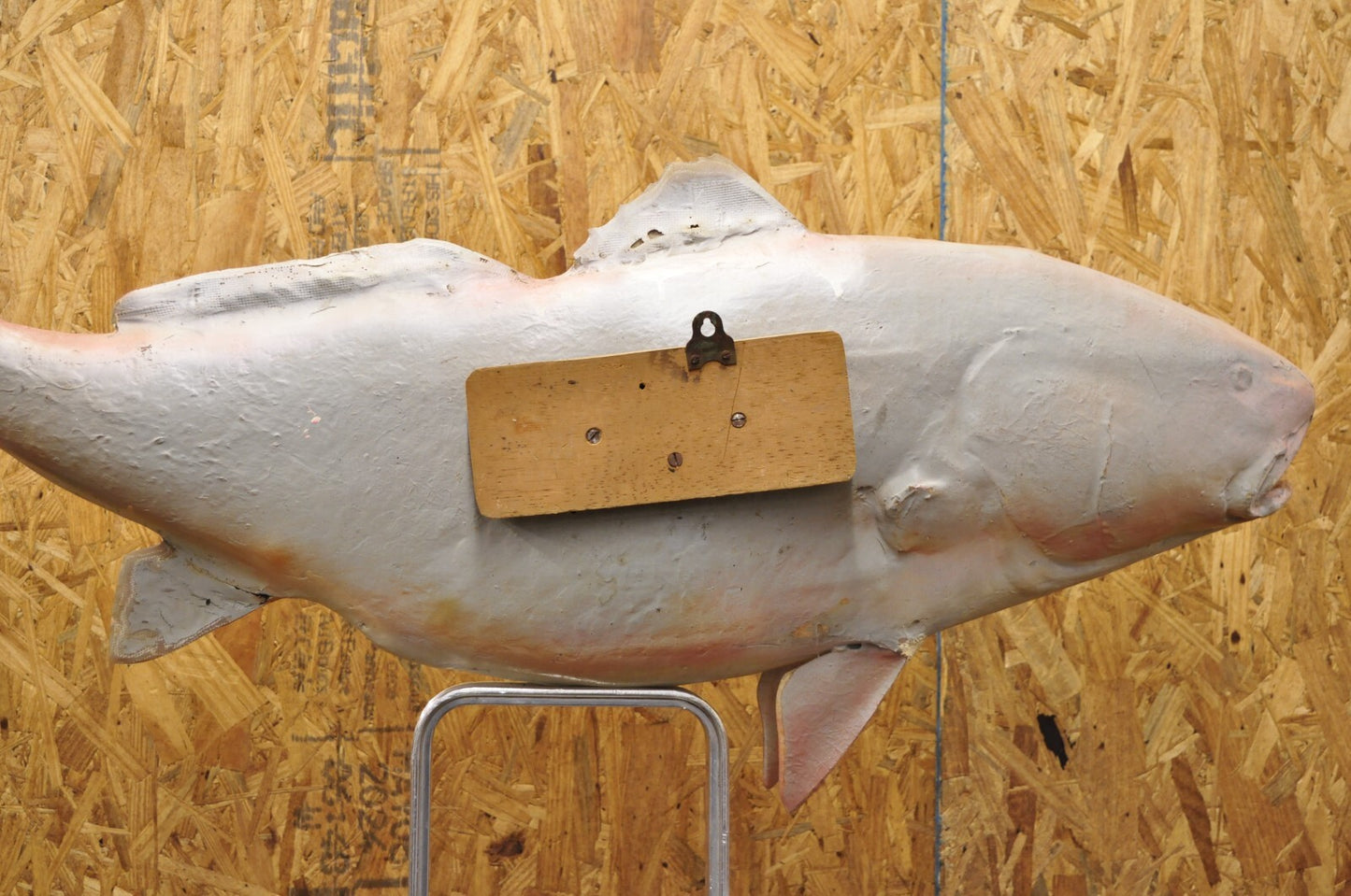 Vintage 49" Large Red Drum Full Wall Mount Taxidermy Redfish Fish Replica