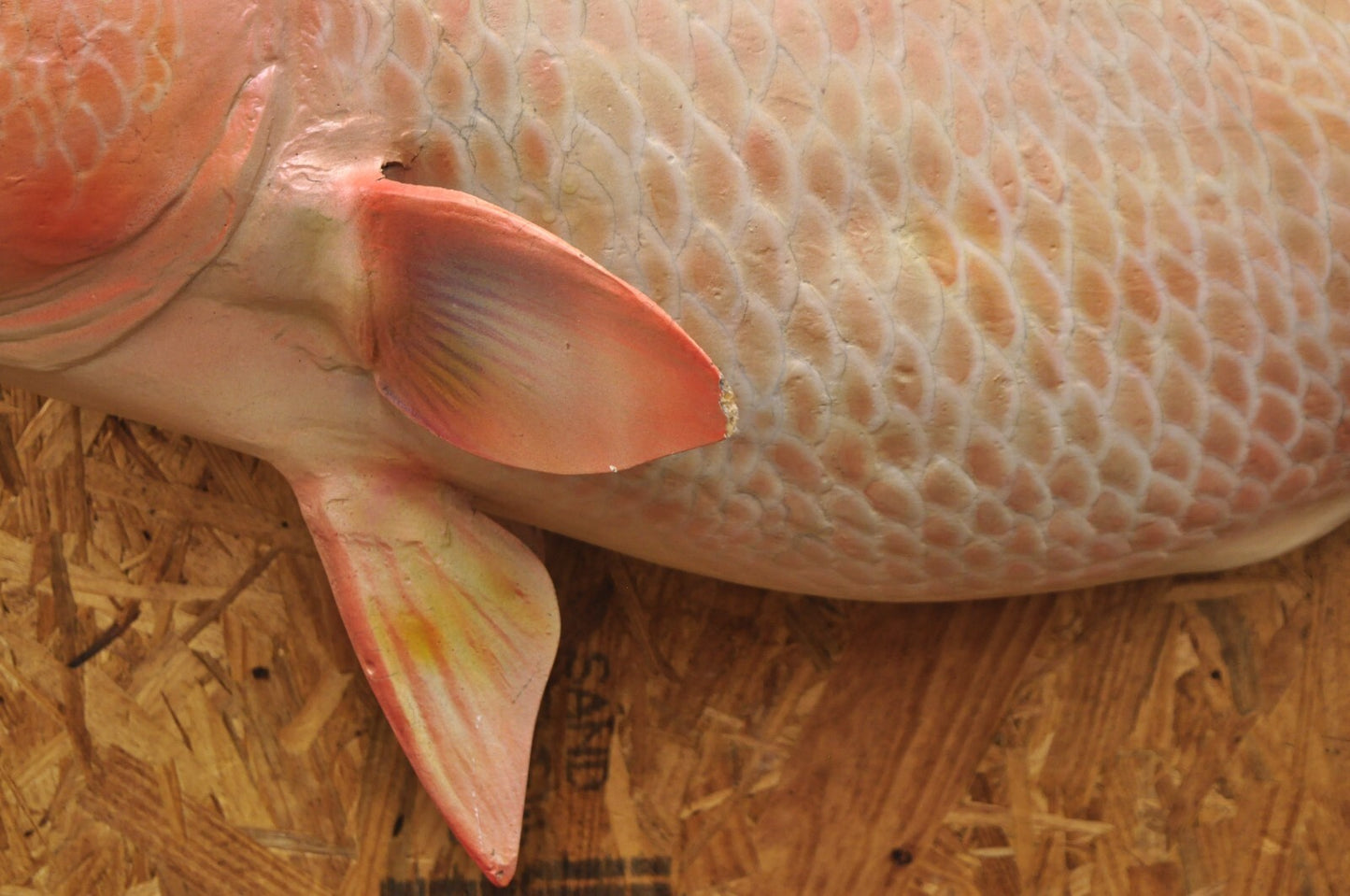 Vintage 49" Large Red Drum Full Wall Mount Taxidermy Redfish Fish Replica