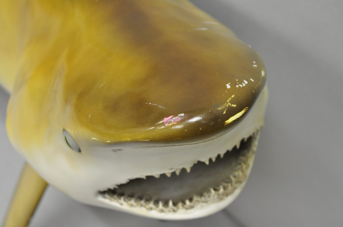 Vintage PFlueger 77" Large Fiberglass Mako Shark Replica Wall Mount Display