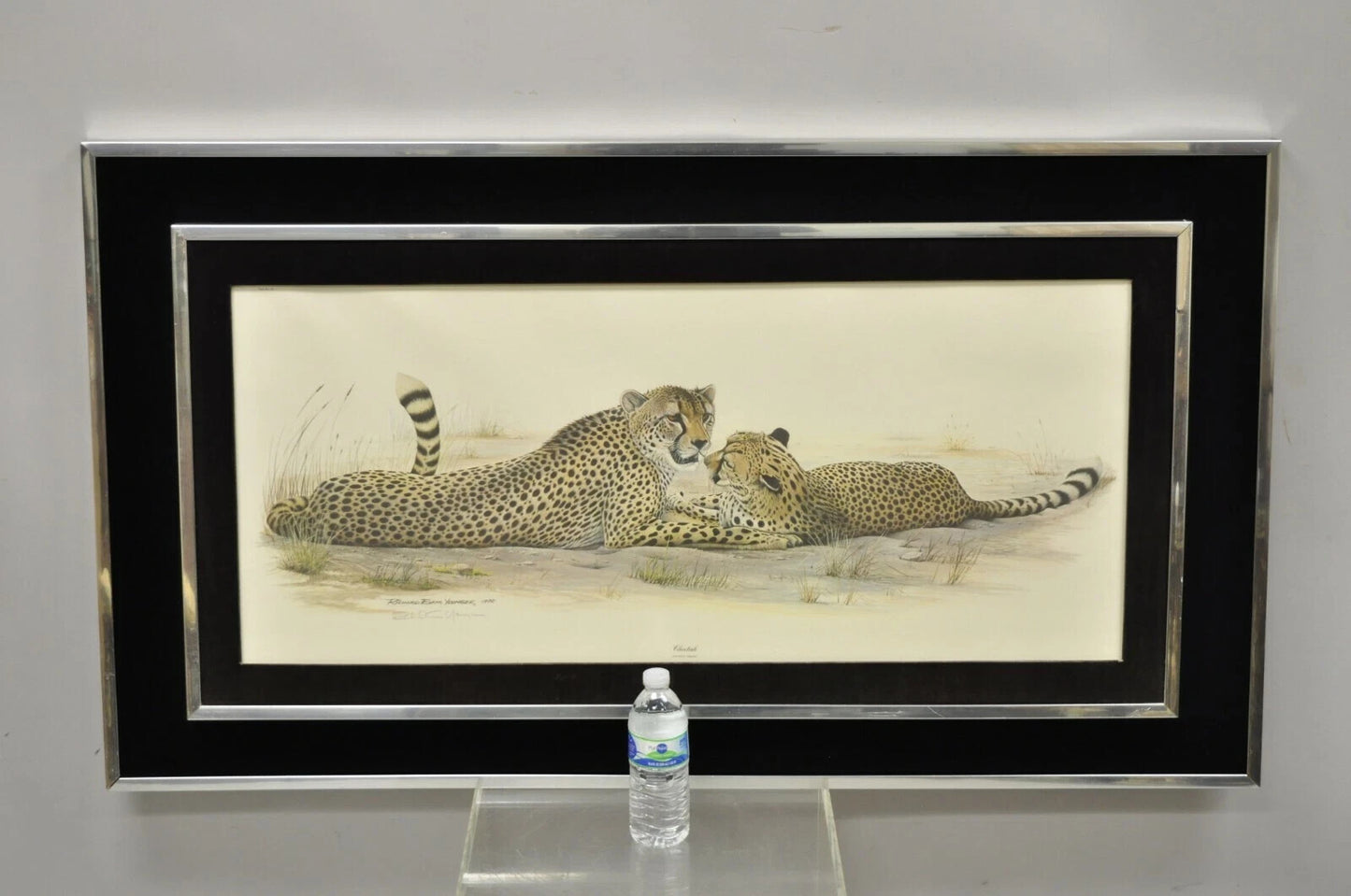 1972 Cheetah Lithograph Art by Richard Evans Younger in Velvet Chrome Frame