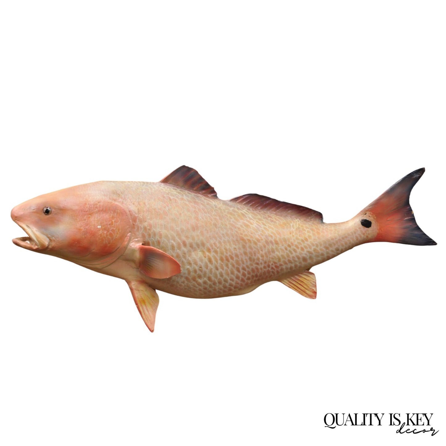 Vintage 49" Large Red Drum Full Wall Mount Taxidermy Redfish Fish Replica