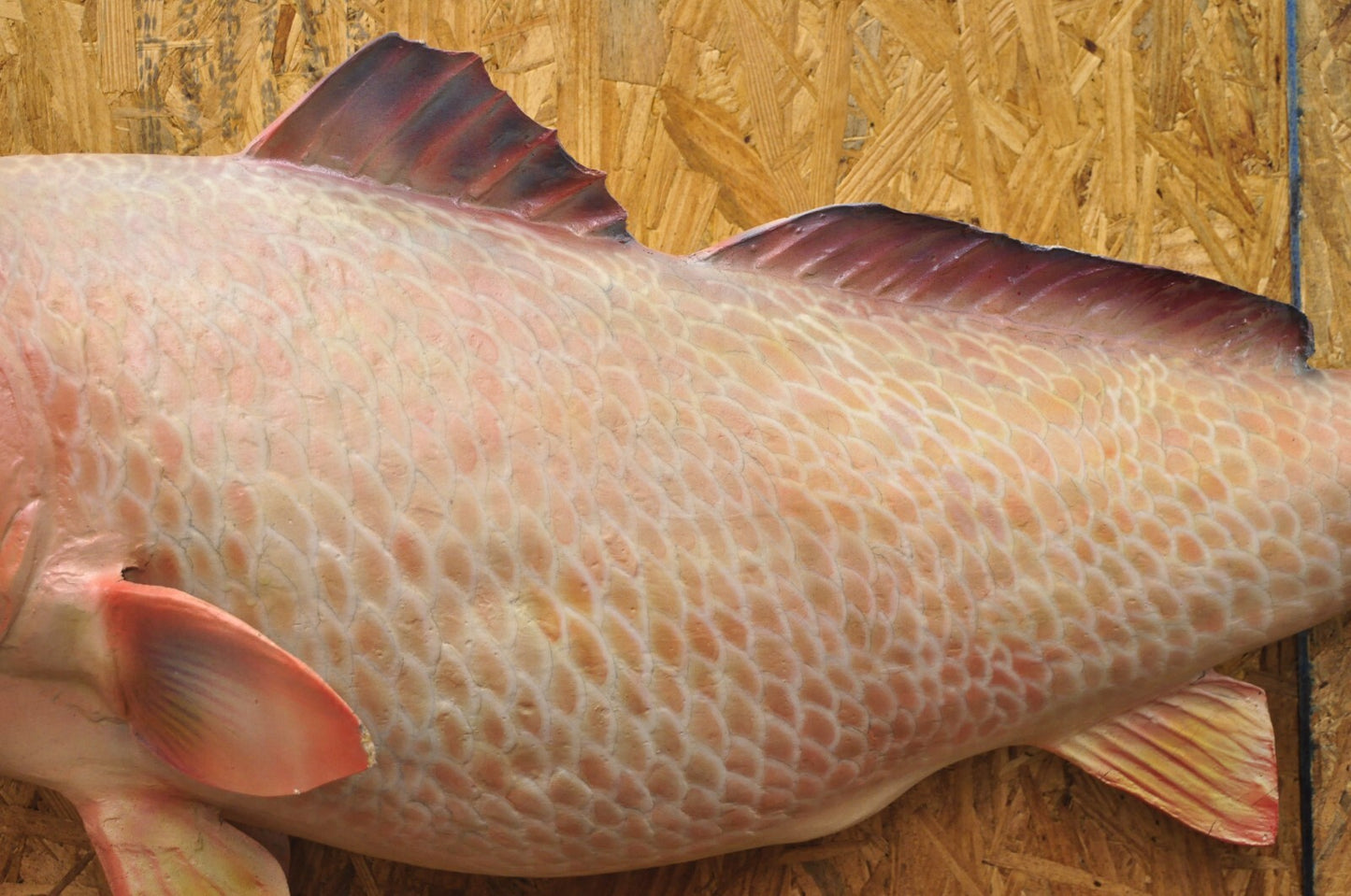 Vintage 49" Large Red Drum Full Wall Mount Taxidermy Redfish Fish Replica