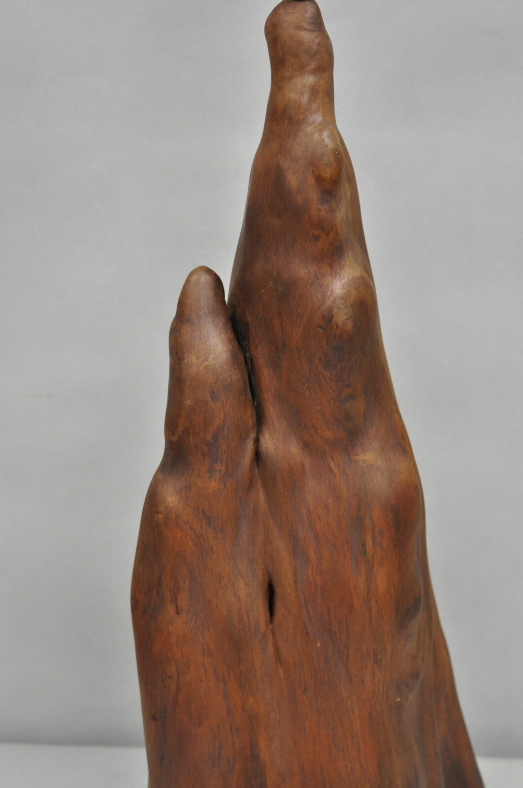 Vintage Mid Century Modern Sculpted Teak Root Wood Driftwood Organic Table Lamp