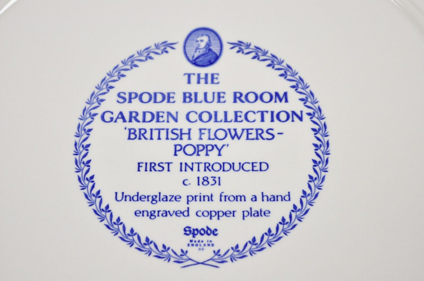 Spode 13" Garden Collection Flowers Poppy Blue Yellow Platter Plate