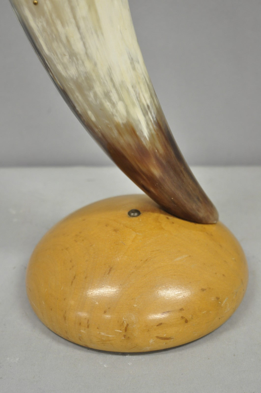 Vintage Italian Regency Large Cattle Cow Horn Vase on Sculpted Maple Wood Base