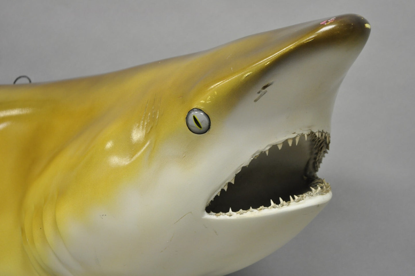 Vintage PFlueger 77" Large Fiberglass Mako Shark Replica Wall Mount Display