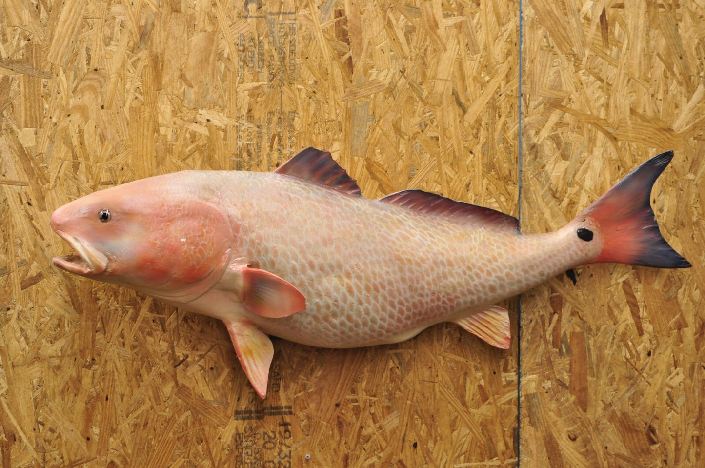 Vintage 49" Large Red Drum Full Wall Mount Taxidermy Redfish Fish Replica