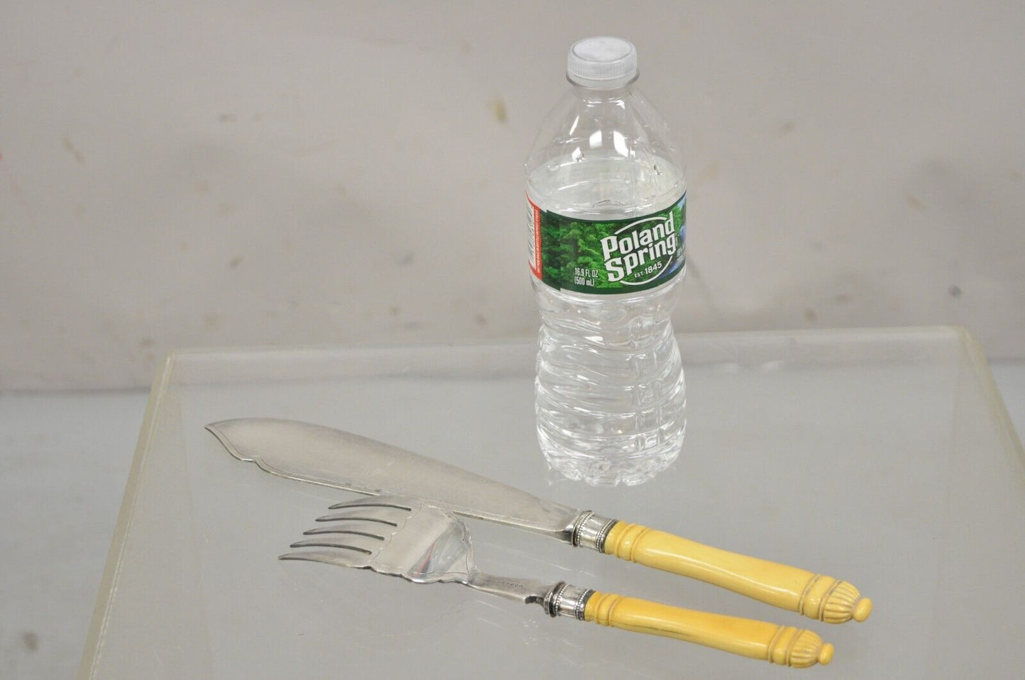 Antique English Victorian Floral Engraved Fish Knife & Fork Set Celluloid Handle