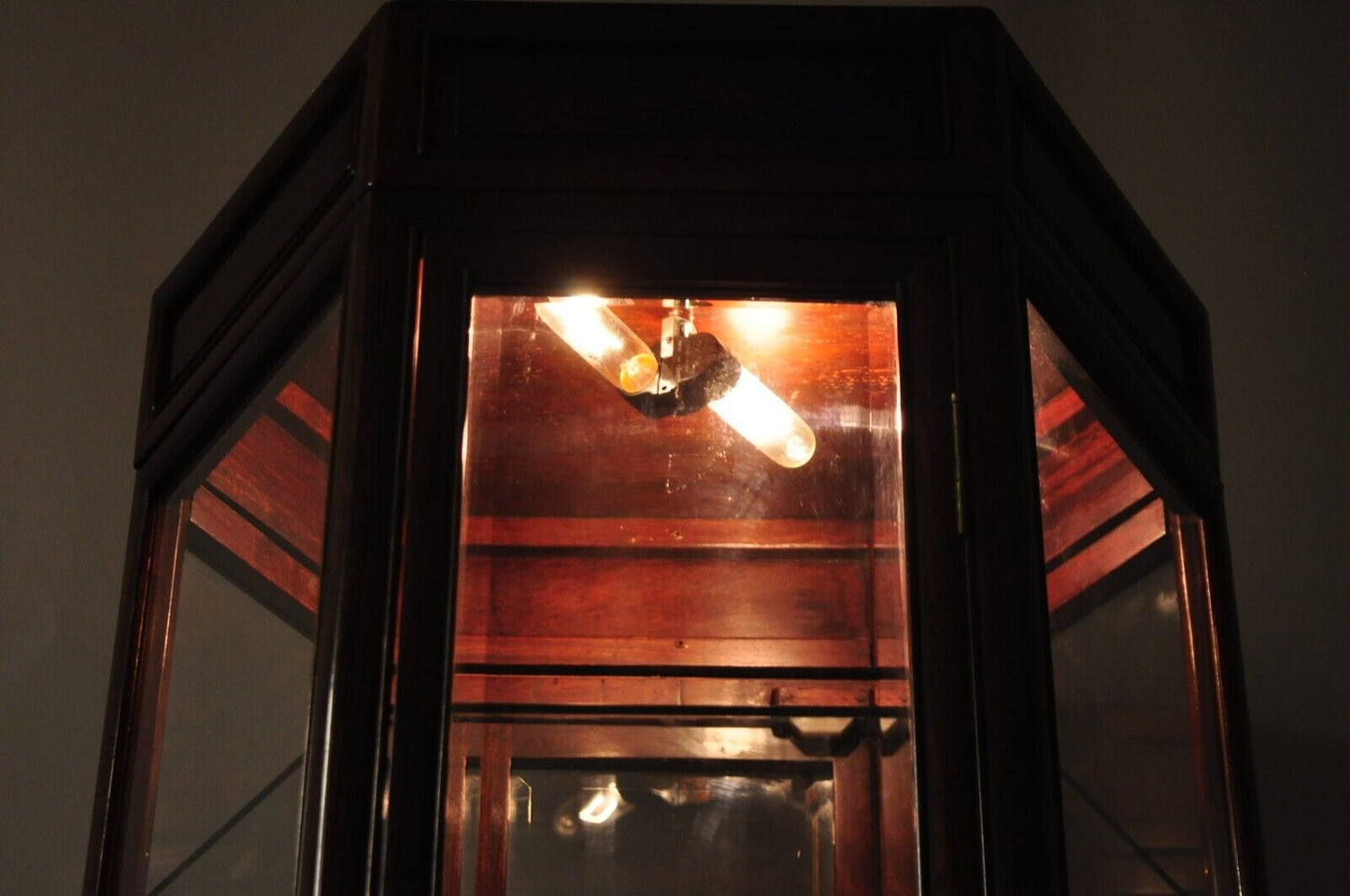 Vtg Oriental Chinoiserie Asian Mahogany Hexagonal Lighted Display Curio Cabinet