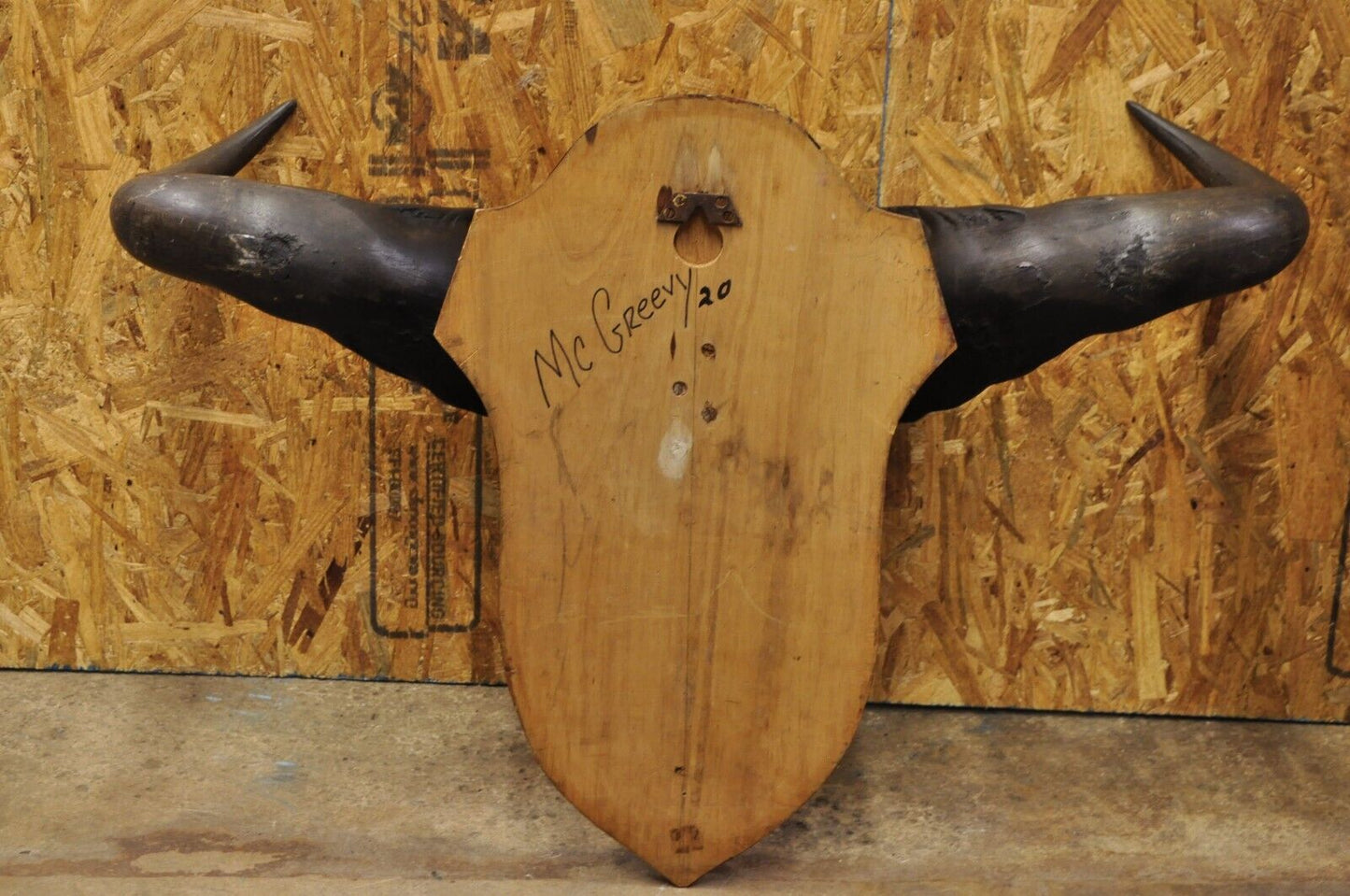 Vintage African Cape Buffalo Skull European Mount on Wooden Plaque Taxidermy