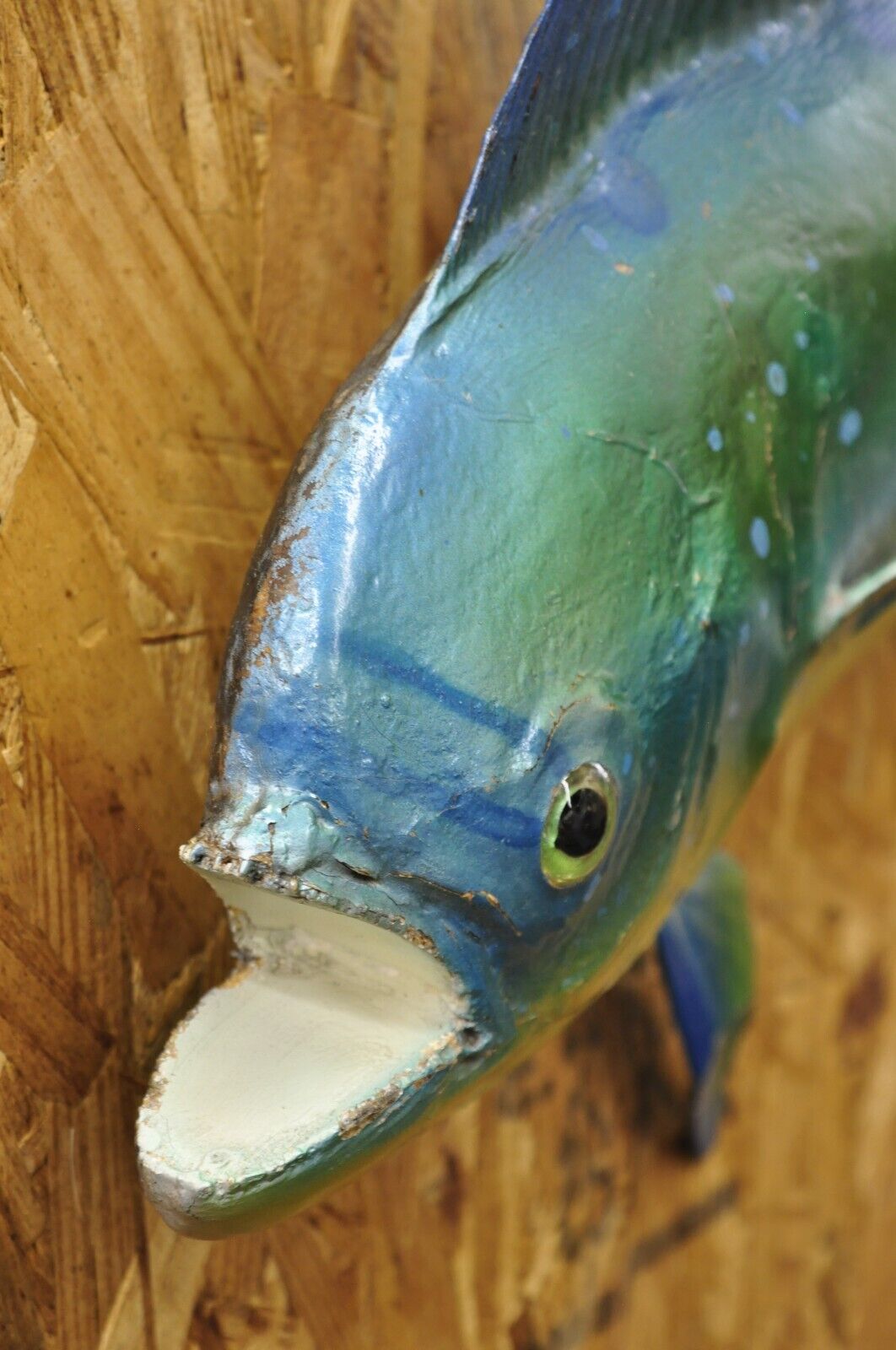 Vintage Mahi-mahi Fish Replica Wall Mount Taxidermy Fishing Wall Decor