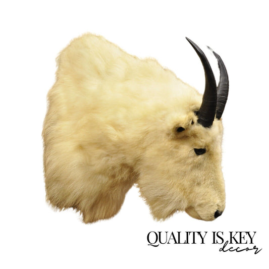 Vintage Taxidermy White Mountain Goat Head Shoulder Mount Horns Cabin Decor
