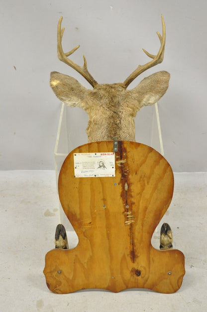 Deer Head Taxidermy Mount 8 Point Pine Board with Gun Rack and Hall Mirror