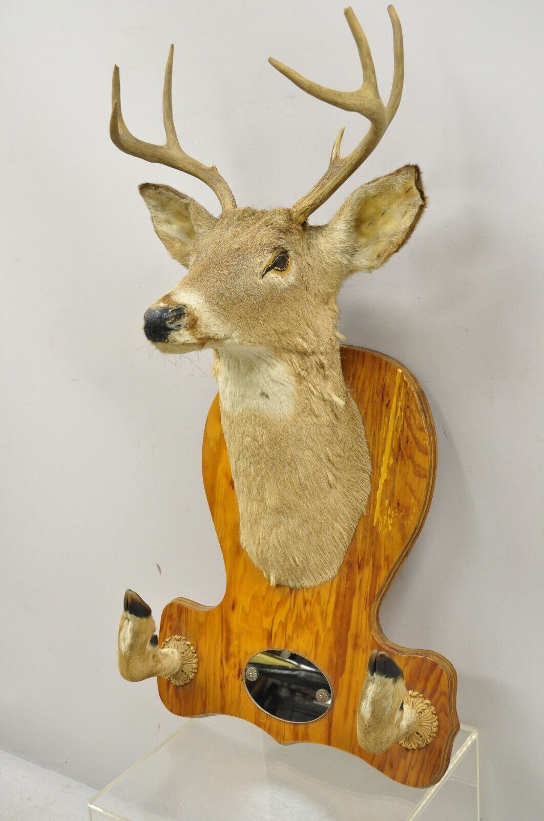 Deer Head Taxidermy Mount 8 Point Pine Board with Gun Rack and Hall Mirror