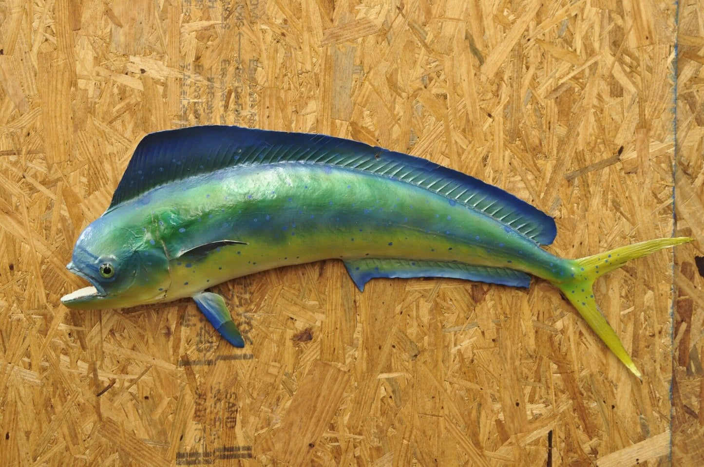 Vintage Mahi-mahi Fish Replica Wall Mount Taxidermy Fishing Wall Decor