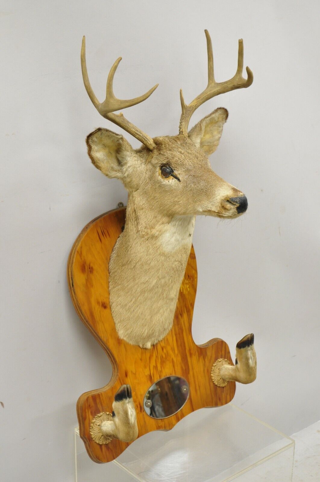 Deer Head Taxidermy Mount 8 Point Pine Board with Gun Rack and Hall Mirror