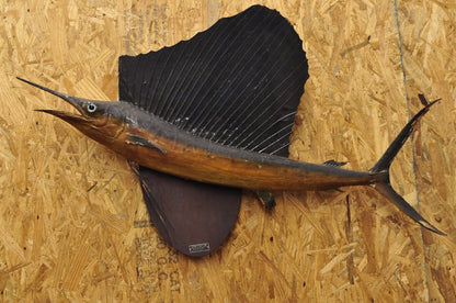 Vintage John S Taylor Sailfish Replica Wall Mount Taxidermy Fishing Wall Decor