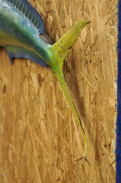 Vintage Mahi-mahi Fish Replica Wall Mount Taxidermy Fishing Wall Decor