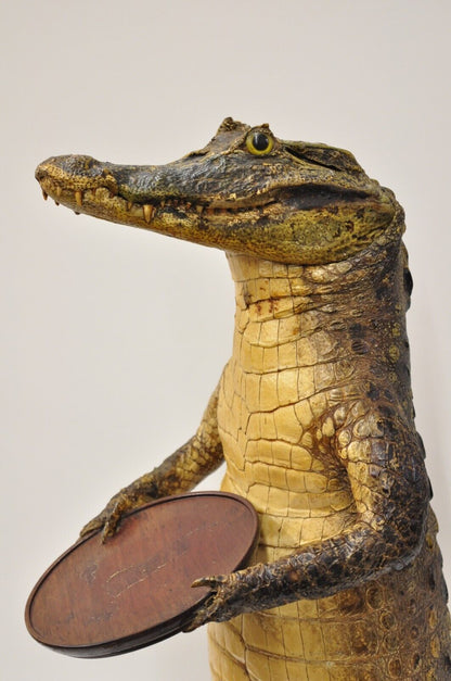 Vintage Alligator Waiter Standing Full Body Mount Taxidermy Ashtray Stand