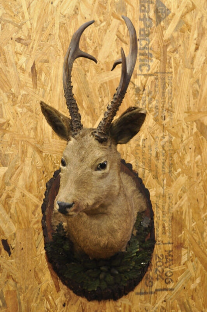 Vintage Taxidermy Deer Shoulder Mount Wall Decor w/ Metal Leaves (R&L) - a Pair