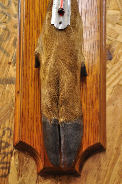 Vintage Whitetail Deer Hoof Foot Taxidermy Wall Thermometer on Oak Wood Plaque