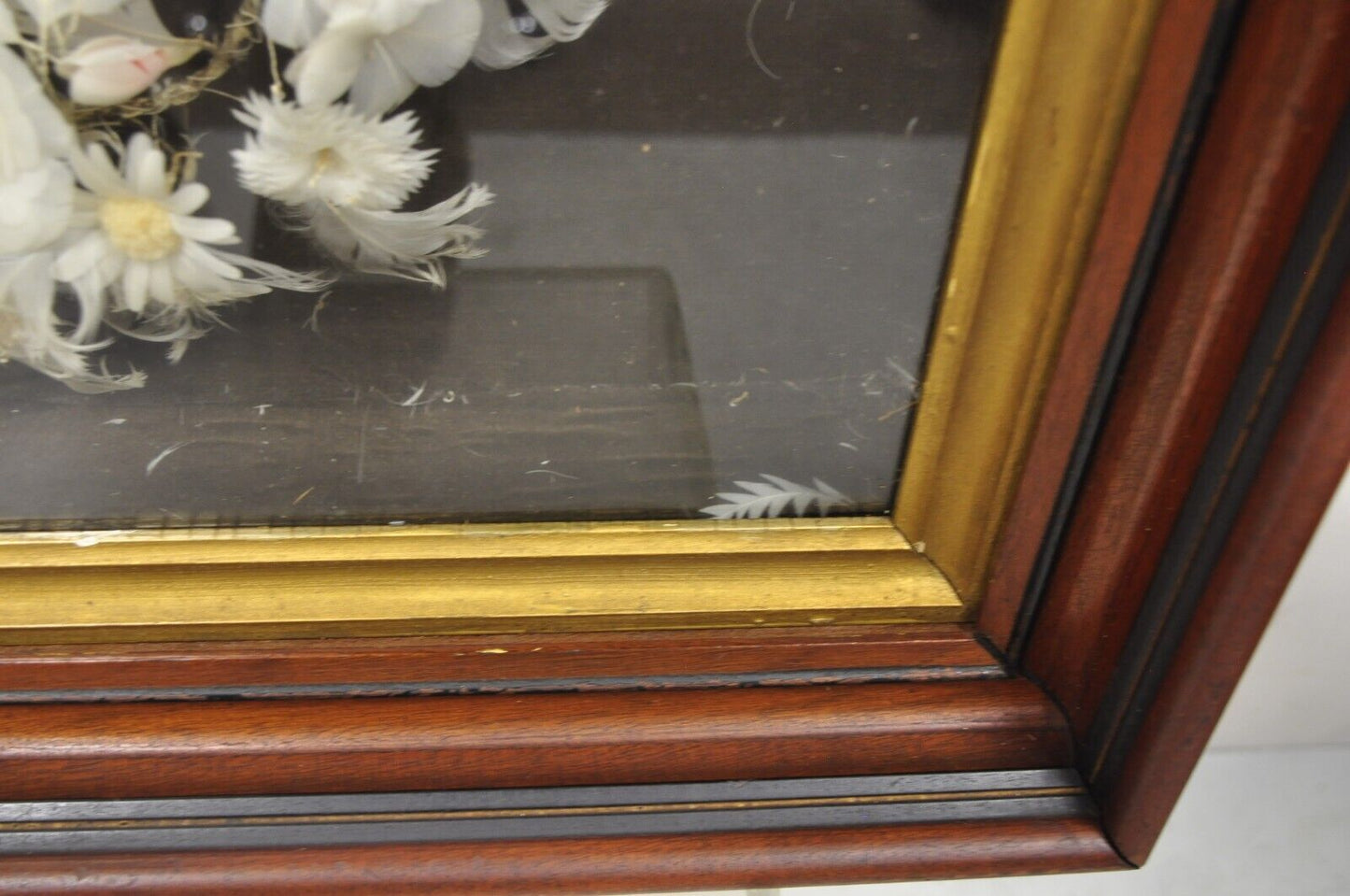 Antique Victorian White Feather Flower Mourning Wreath Mahogany Shadow Box Frame