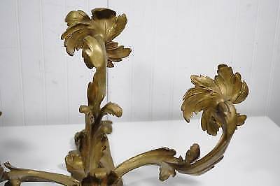 Stately Antique 19th C French Bronze Acanthus Rococo Candle Holder Wall Sconce