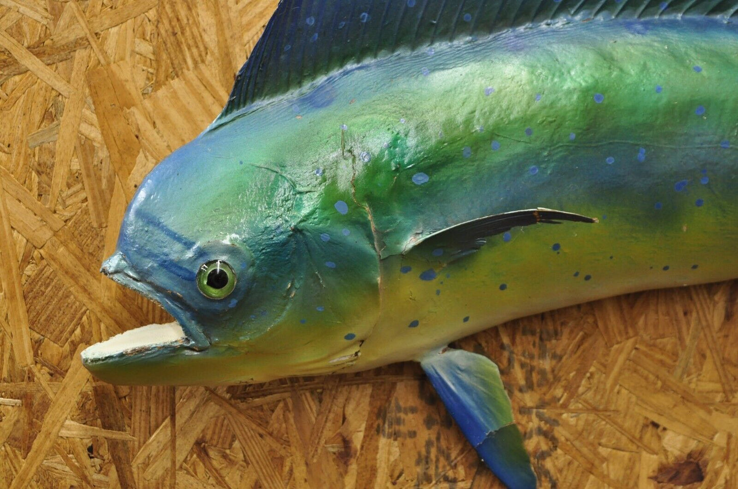 Vintage Mahi-mahi Fish Replica Wall Mount Taxidermy Fishing Wall Decor