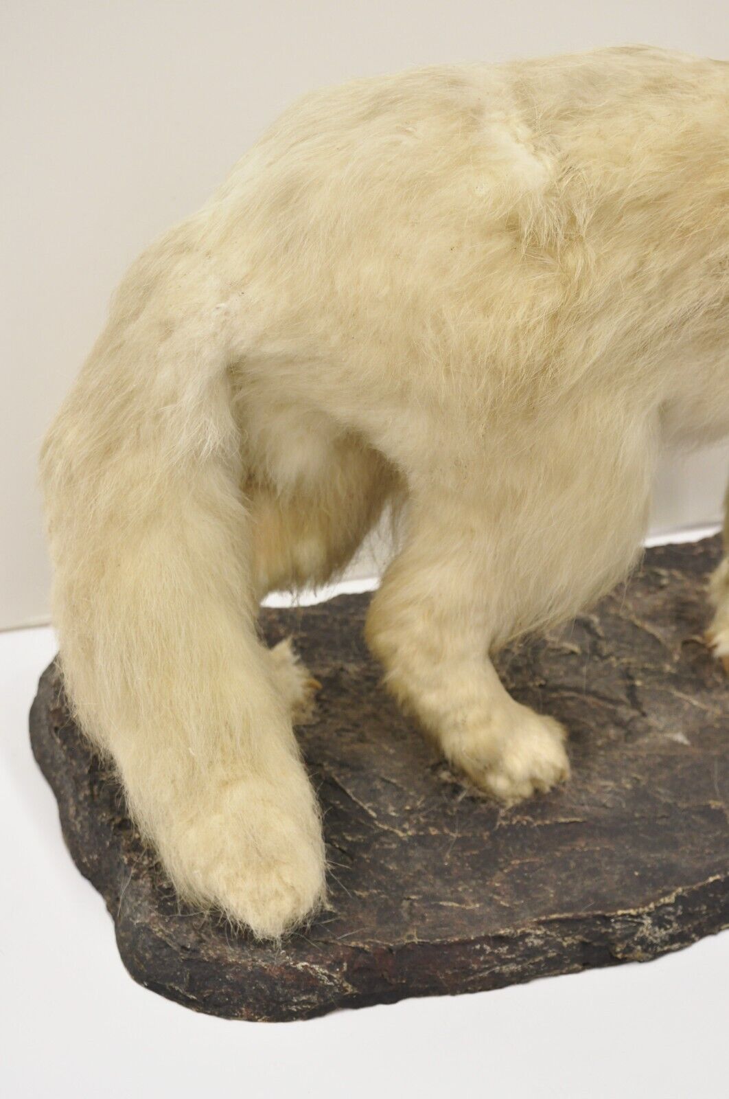 Vintage Full Body Mount Stuffed Glacier Arctic Fox Taxidermy Mancave Decor