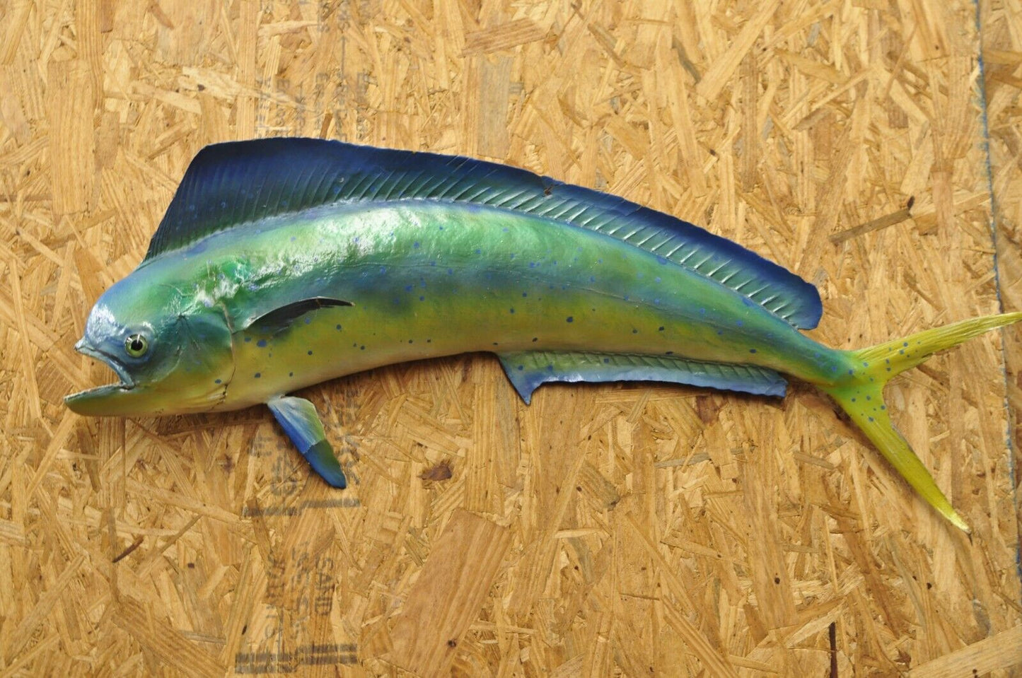 Vintage Mahi-mahi Fish Replica Wall Mount Taxidermy Fishing Wall Decor