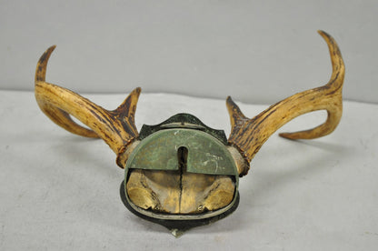 Antique Victorian Taxidermy Whitetail Deer Antler Wall Mount Metal Shield Plaque