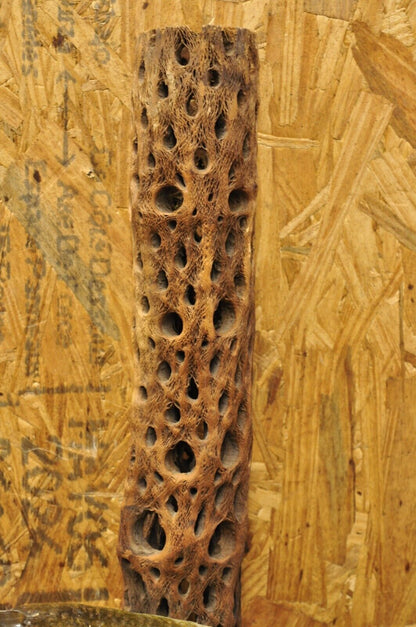 Vintage Largemouth Bass Log Wall Mount Real Skin Taxidermy Fishing Wall Decor