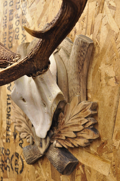 Antique Black Forest Victorian Wall Mounted Taxidermy Large Deer Skull & Antlers