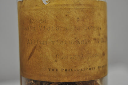 Antique Tiffin Dakota Glass Apothecary Candy Jars from The Philadelphia Museum