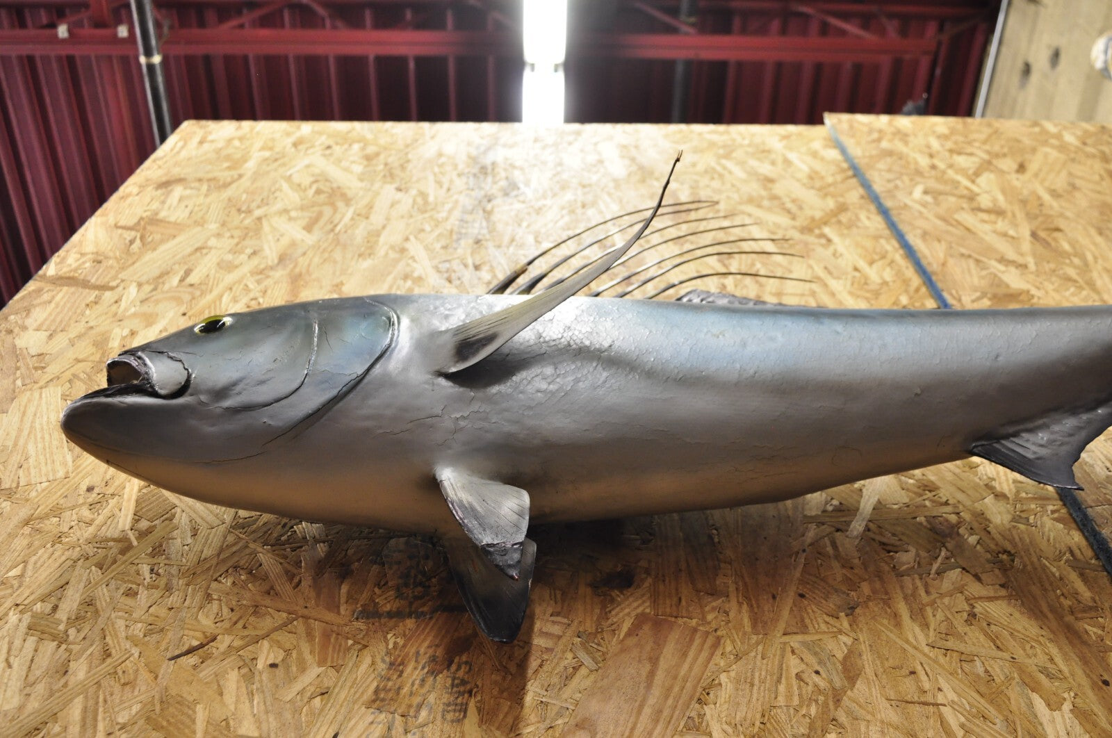 Vintage 46" Large Roosterfish Full Wall Mount Taxidermy Sailfish Fish Replica