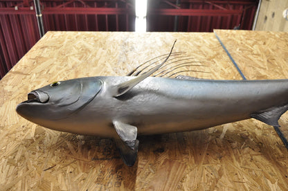 Vintage 46" Large Roosterfish Full Wall Mount Taxidermy Sailfish Fish Replica