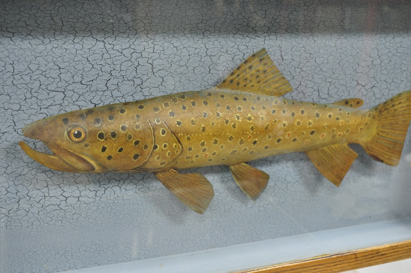 Vintage Folk Art Painted Wood "Brown Trout with Fly" Shadowbox Faux Taxidermy