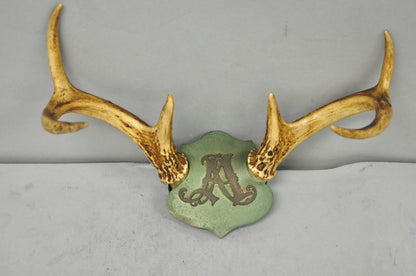 Antique Victorian Taxidermy Whitetail Deer Antler Wall Mount Metal Shield Plaque