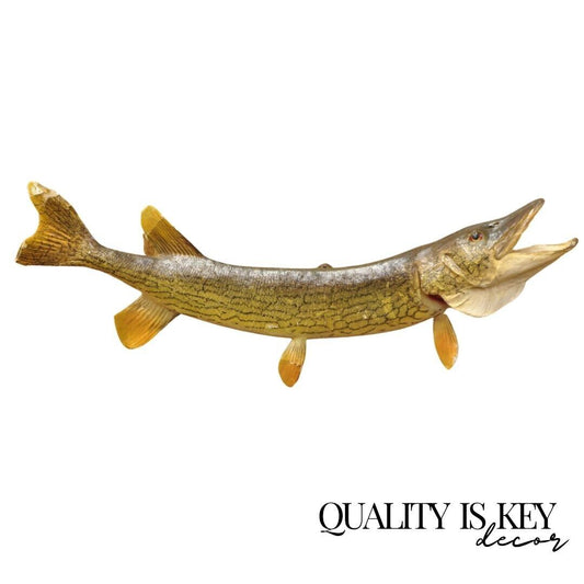 Vintage Northern Pike Wall Mount Taxidermy Real Skin Fishing Wall Decor