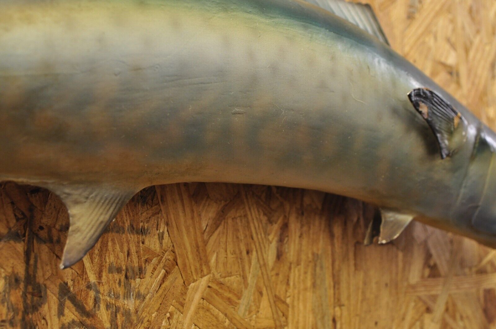 Vintage Kanadi Kingfish Mackerel Fish Replica Wall Mount Taxidermy Fishing Decor