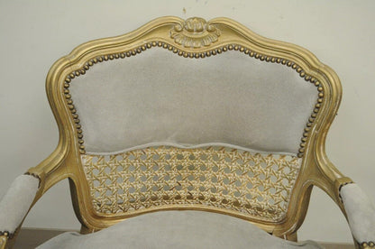Fratelli Boffi French Louis XV Style Gold Gray Suede Cane Bergere Arm Chair
