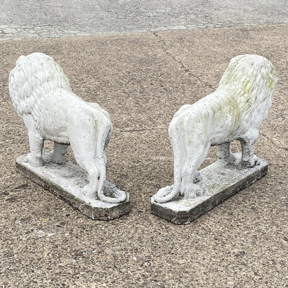 Vintage Classical Style Standing Lion Cement Guardian Entry Garden Statue - Pair