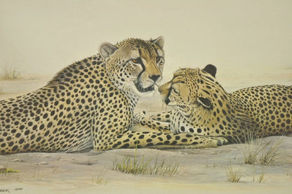 1972 Cheetah Lithograph Art by Richard Evans Younger in Velvet Chrome Frame