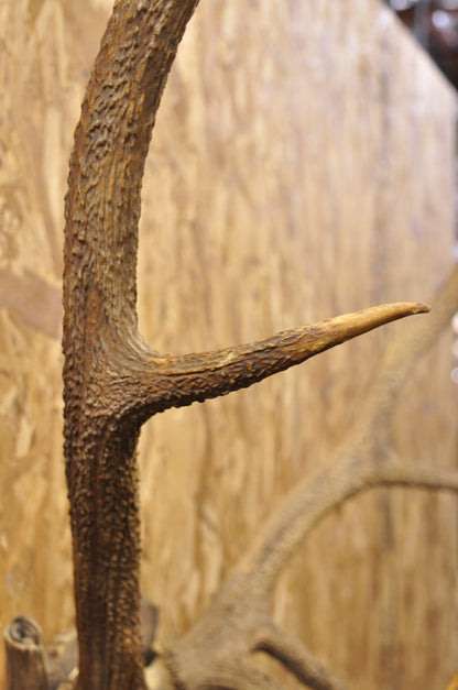 Antique Black Forest Victorian Wall Mounted Taxidermy Large Deer Skull & Antlers