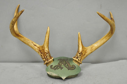 Antique Victorian Taxidermy Whitetail Deer Antler Wall Mount Metal Shield Plaque